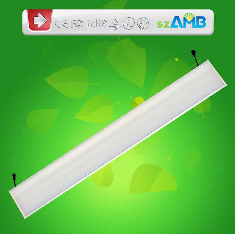 SMD 3528 Everlight led 66W 1500mm LED Panels IP65 Panel Led Lights